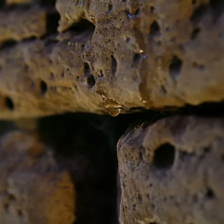 Corpo Santo Historical Otel